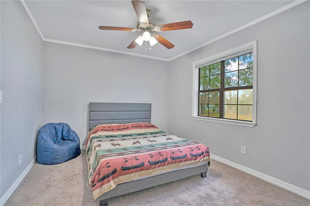13713 Walden Sheffield Road Dover, FL 33527 - Photo 21 of 39