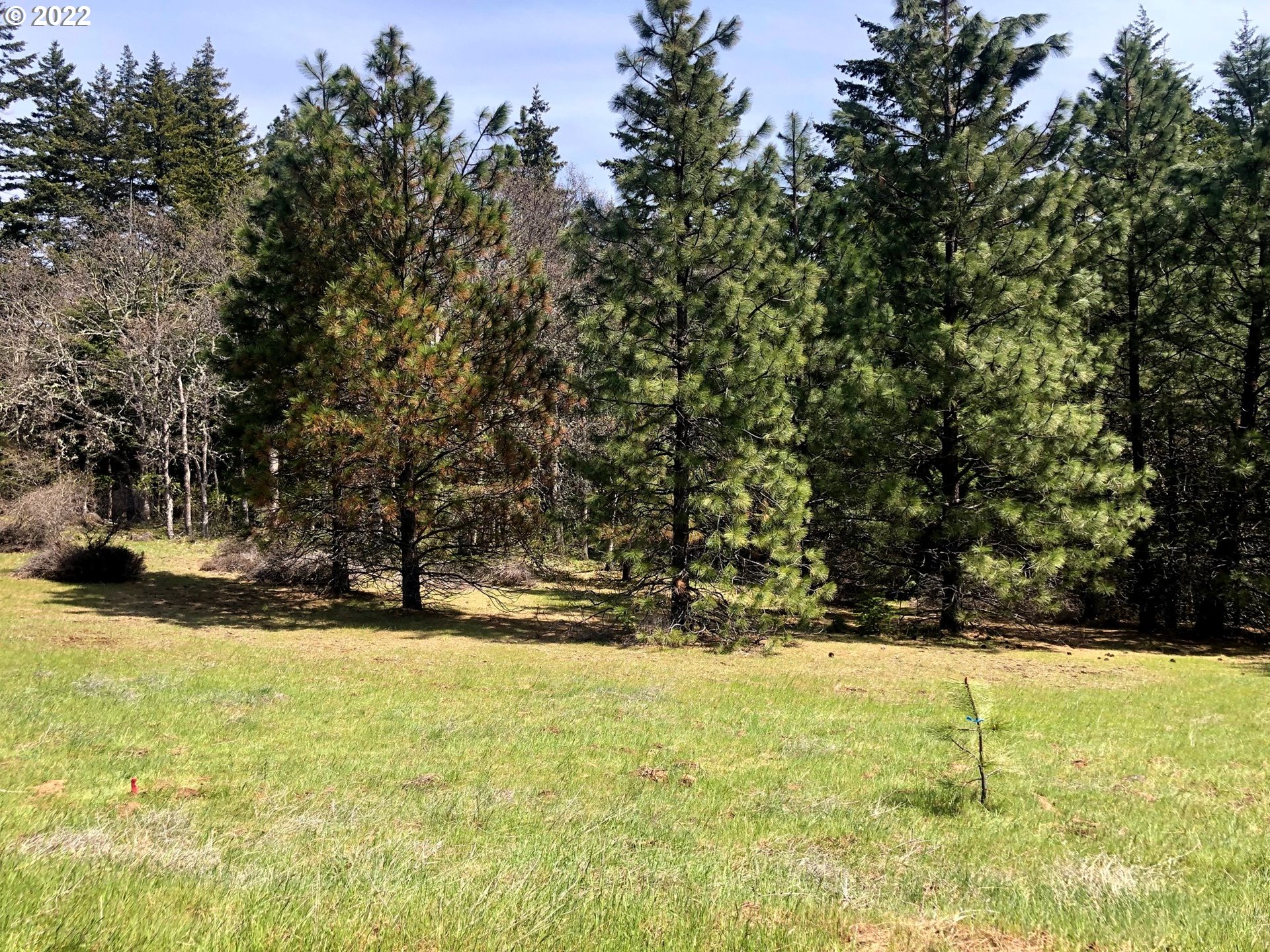 Meadows Loop, Unit 34 Lyle, WA 98635 - Photo 1 of 17 Gallery Image 1