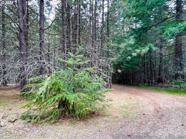 Meadows Loop, Unit 34 Lyle, WA 98635 - Photo 3 of 17 Gallery Image 3