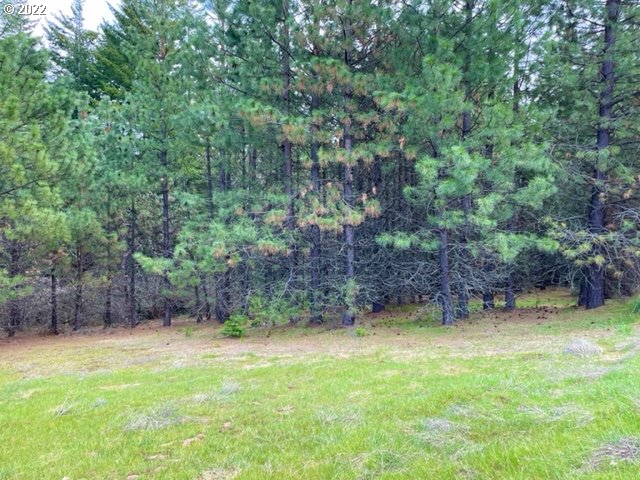 Meadows Loop, Unit 34 Lyle, WA 98635 - Photo 5 of 17 Gallery Image 5