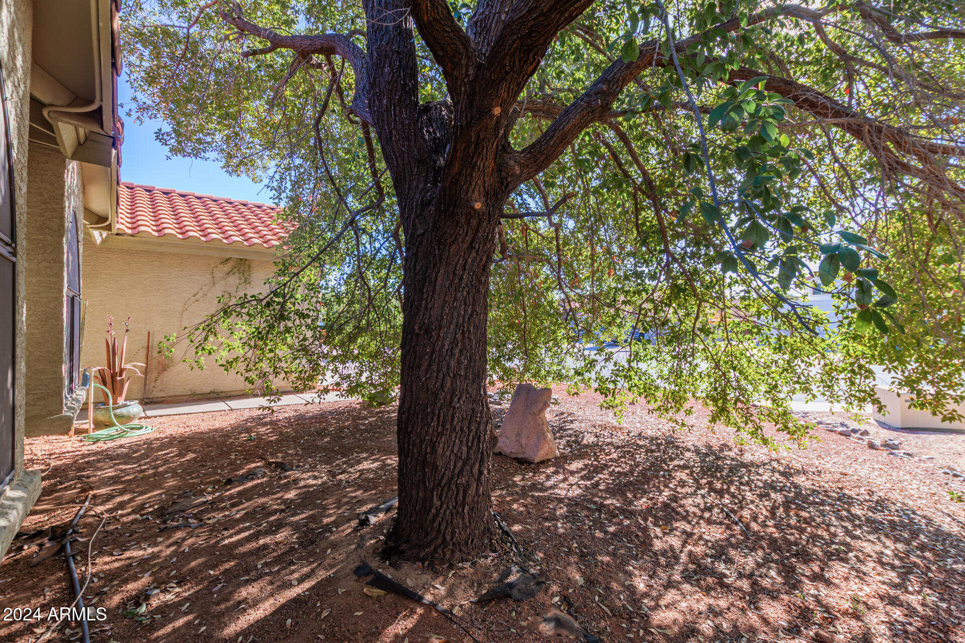 5838 East Fox Circle Mesa, AZ 85205 - Photo 5 of 34 07 - Fox