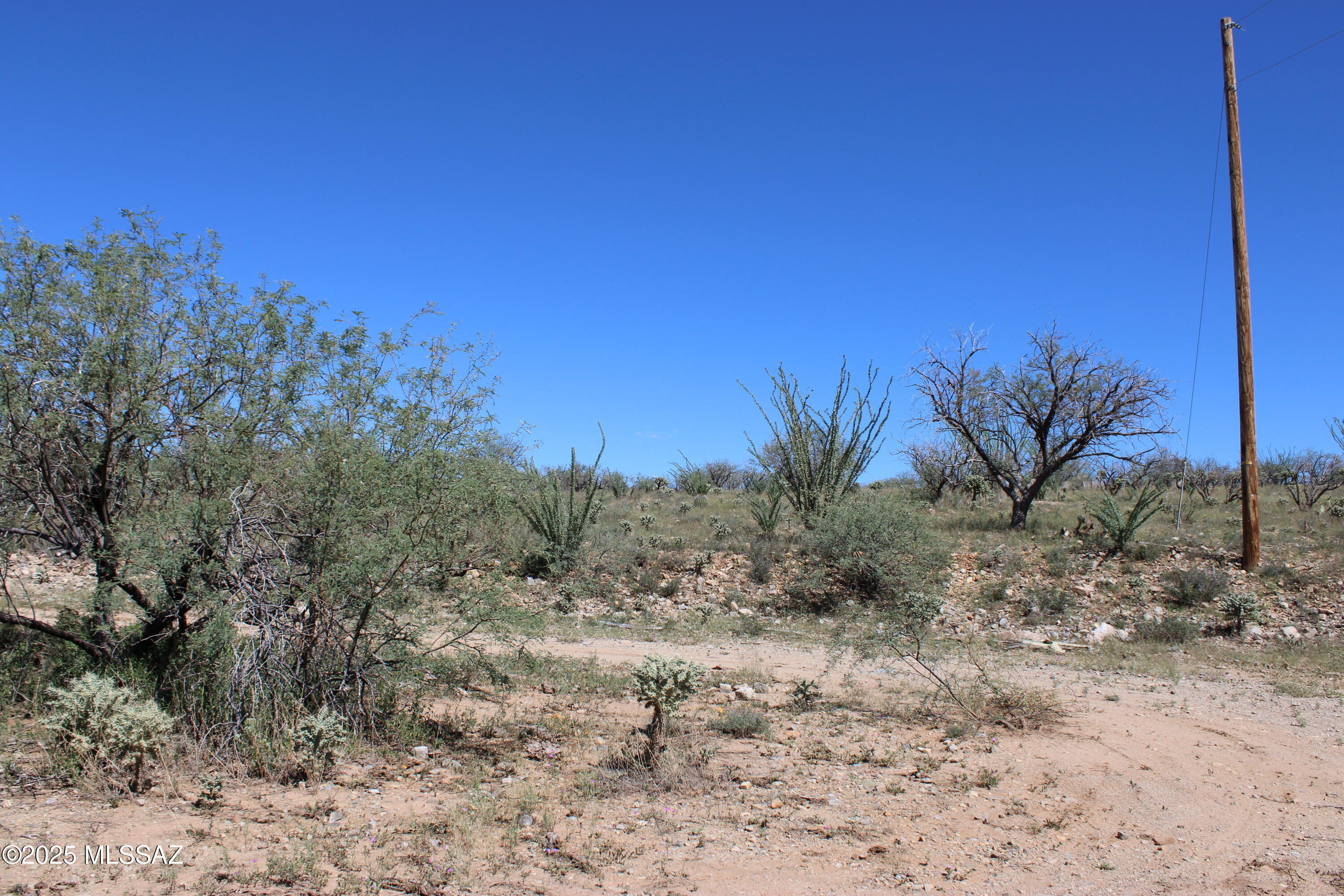 346 Anfibio Court, Unit 83 Rio Rico, AZ 85648 - Photo 7 of 14