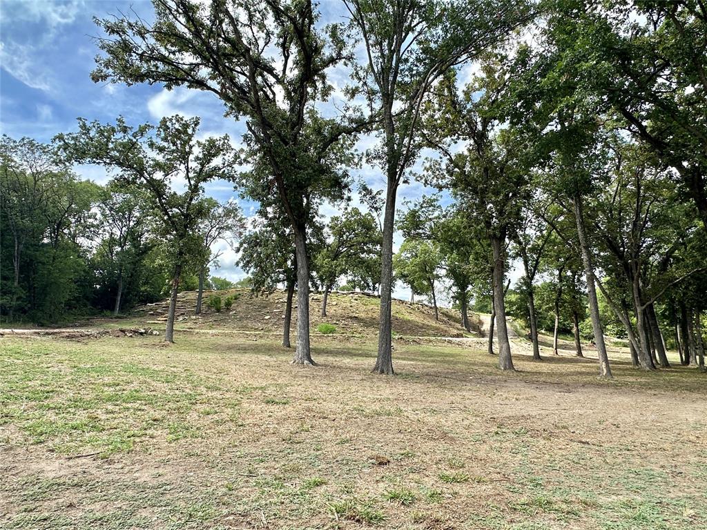 Tbd North Harrell Road Gainesville, TX 76240 - Photo 15 of 29 a view of outdoor space with trees