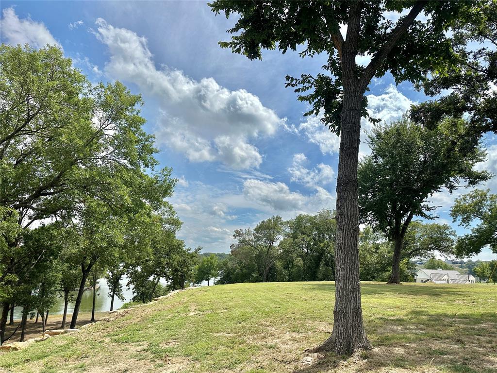 Tbd North Harrell Road Gainesville, TX 76240 - Photo 24 of 29 a view of a tree with the view of trees