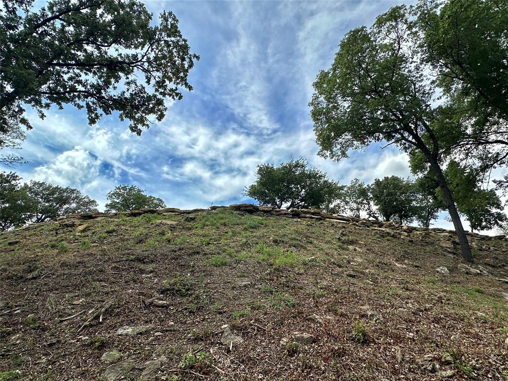 Tbd North Harrell Road Gainesville, TX 76240 - Photo 28 of 29 a view of a yard