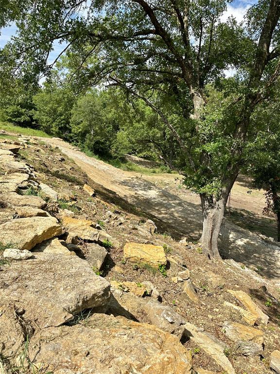 Tbd North Harrell Road Gainesville, TX 76240 - Photo 9 of 29 a view of a yard with trees