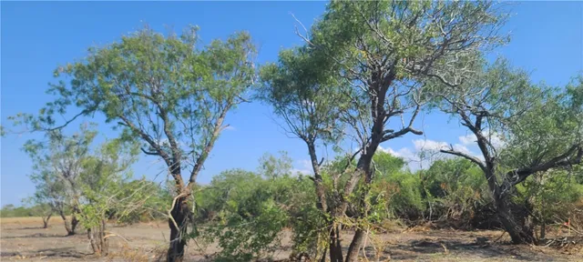 $89,000 | 0 1st Street, Bayside, TX 78340