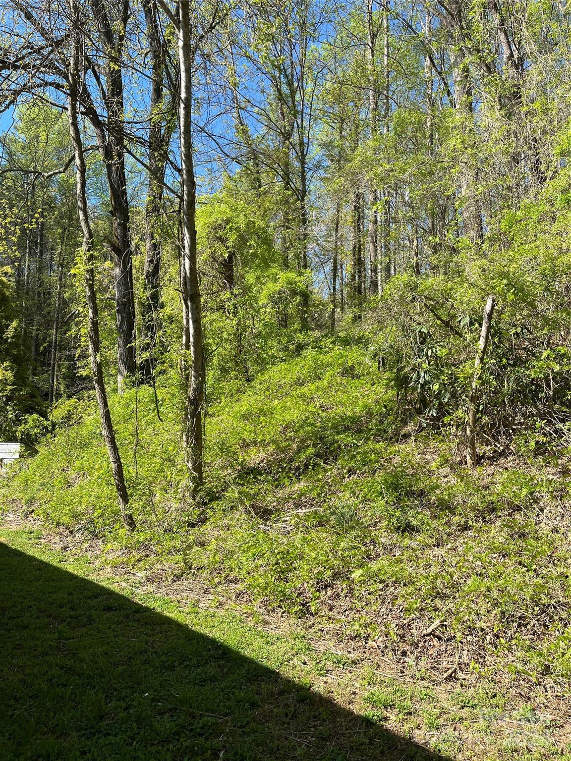 413 AB Elliott Road Marion, NC 28752 - Photo 5 of 11 Gallery Image 5