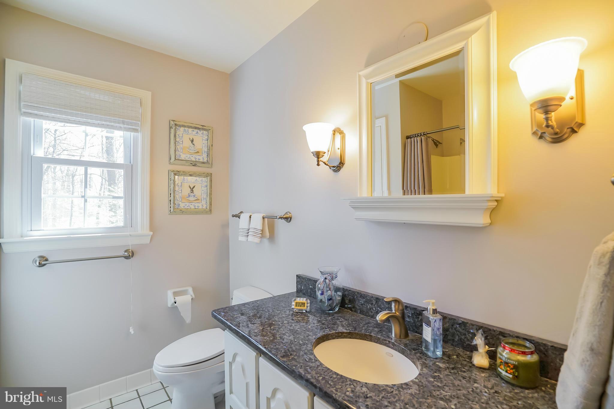 12246 Etchison Road Ellicott City, MD 21042 - Photo 17 of 30 Bath