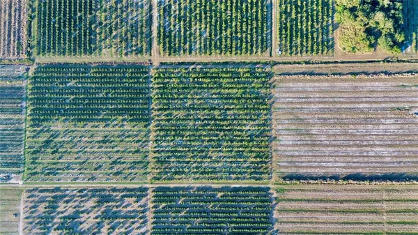 a view of a garden with an ocean view
