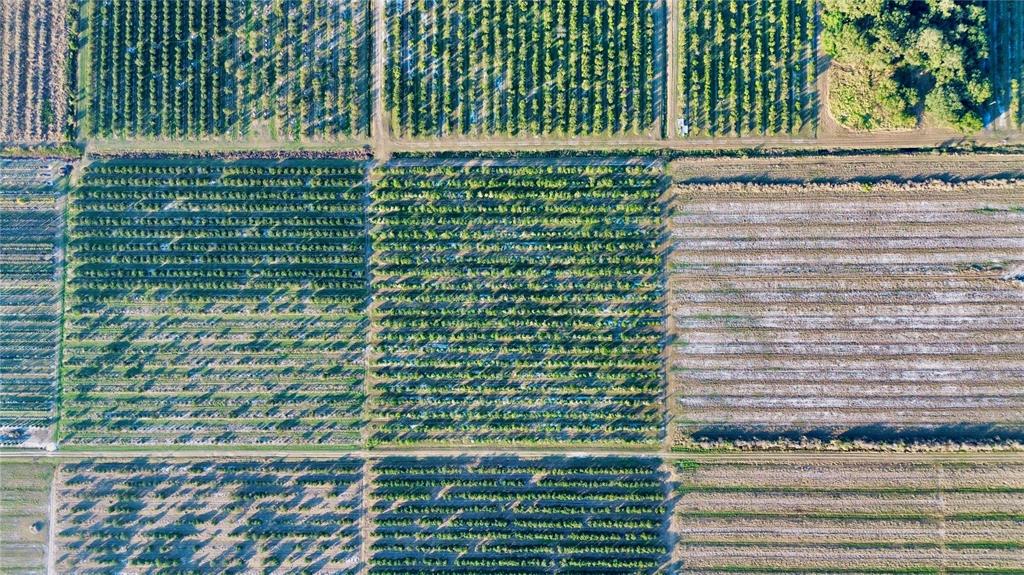 2205 Hicks Road Lorida, FL 33857 - Photo 5 of 8