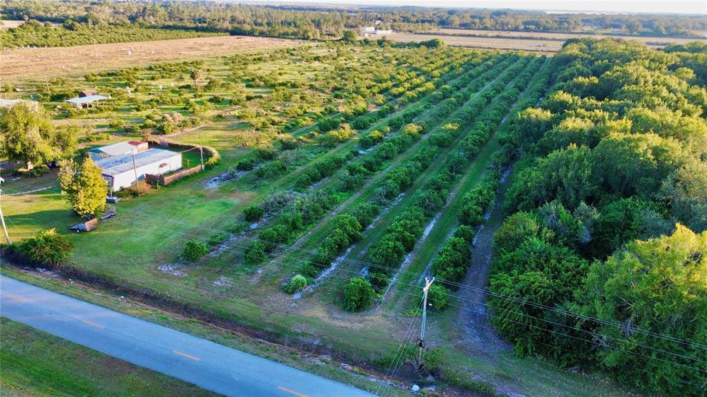 2205 Hicks Road Lorida, FL 33857 - Photo 7 of 8 a view of a garden with an ocean view
