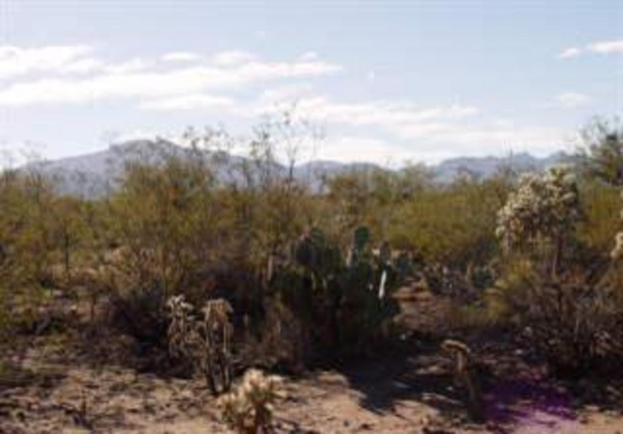 9790 East Andrada Road Vail, AZ 85641 - Photo 3 of 9