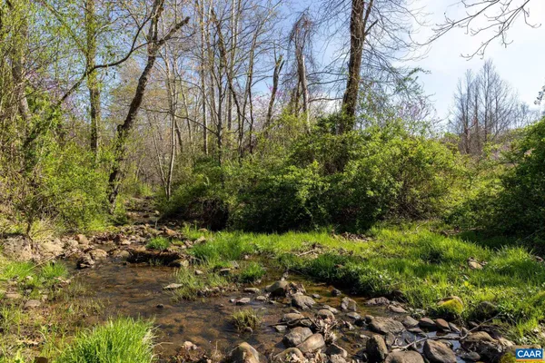 a view of a garden with a tree