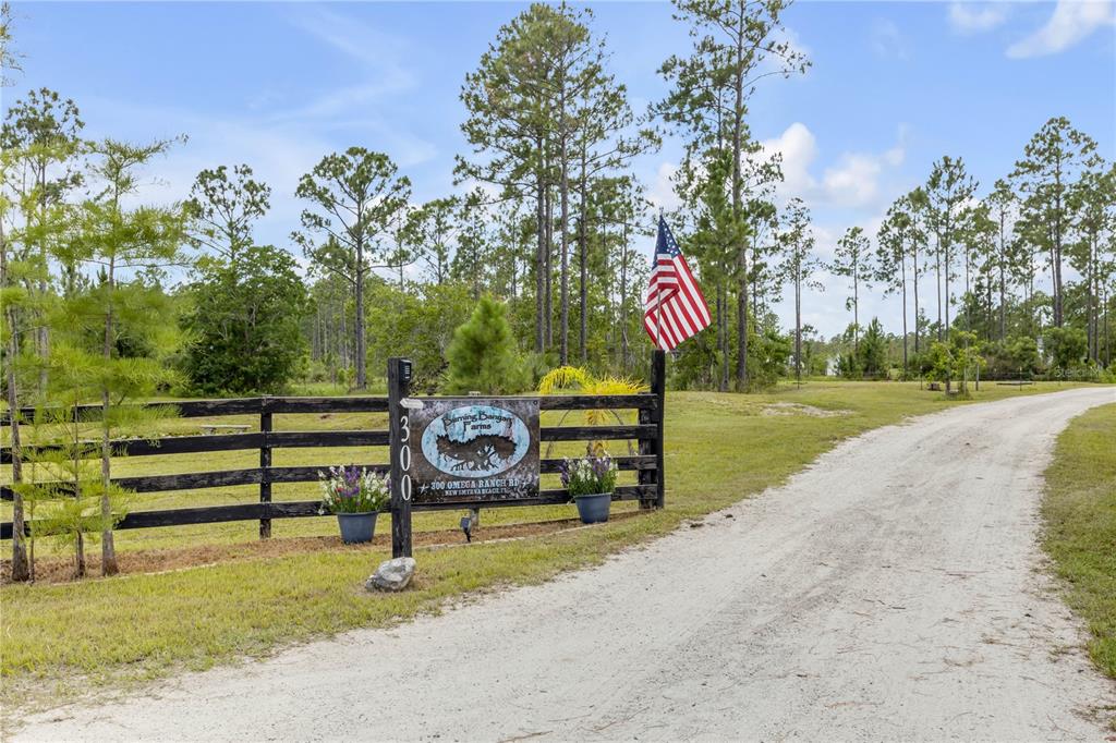 300 Omega Ranch Road Deltona, FL 32738 - Photo 3 of 95