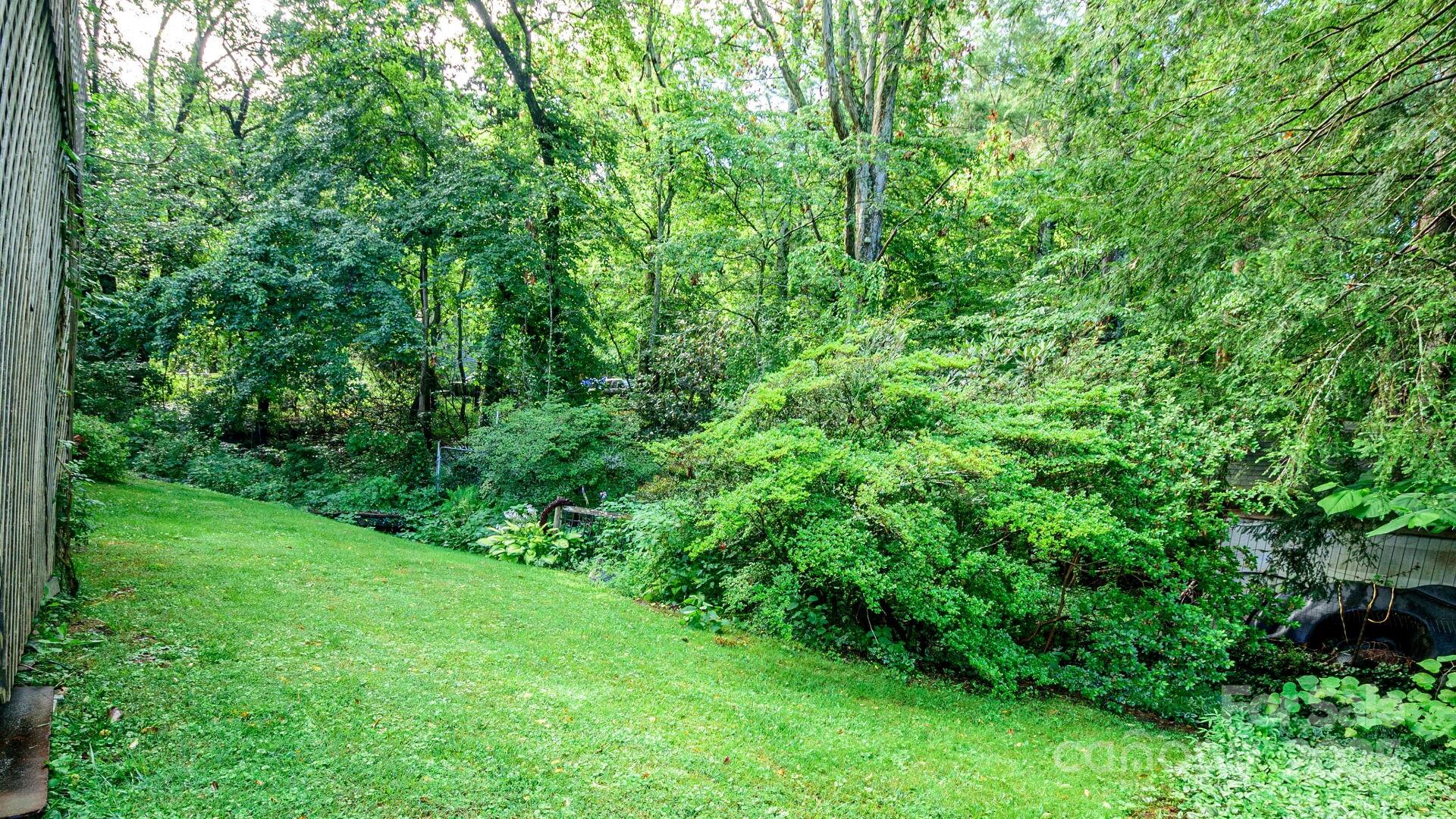 51 Bell Road Asheville, NC 28805 - Photo 30 of 38