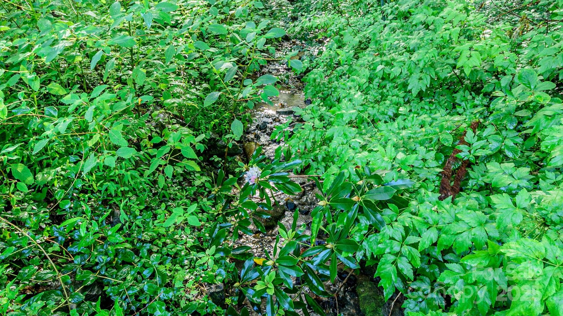 51 Bell Road Asheville, NC 28805 - Photo 34 of 38