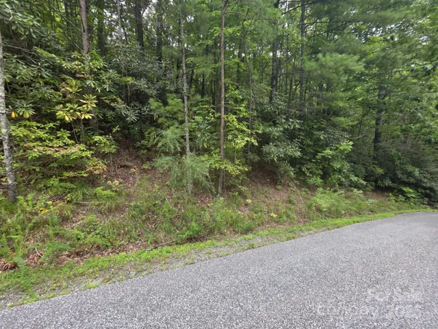 a view of a yard with a trees