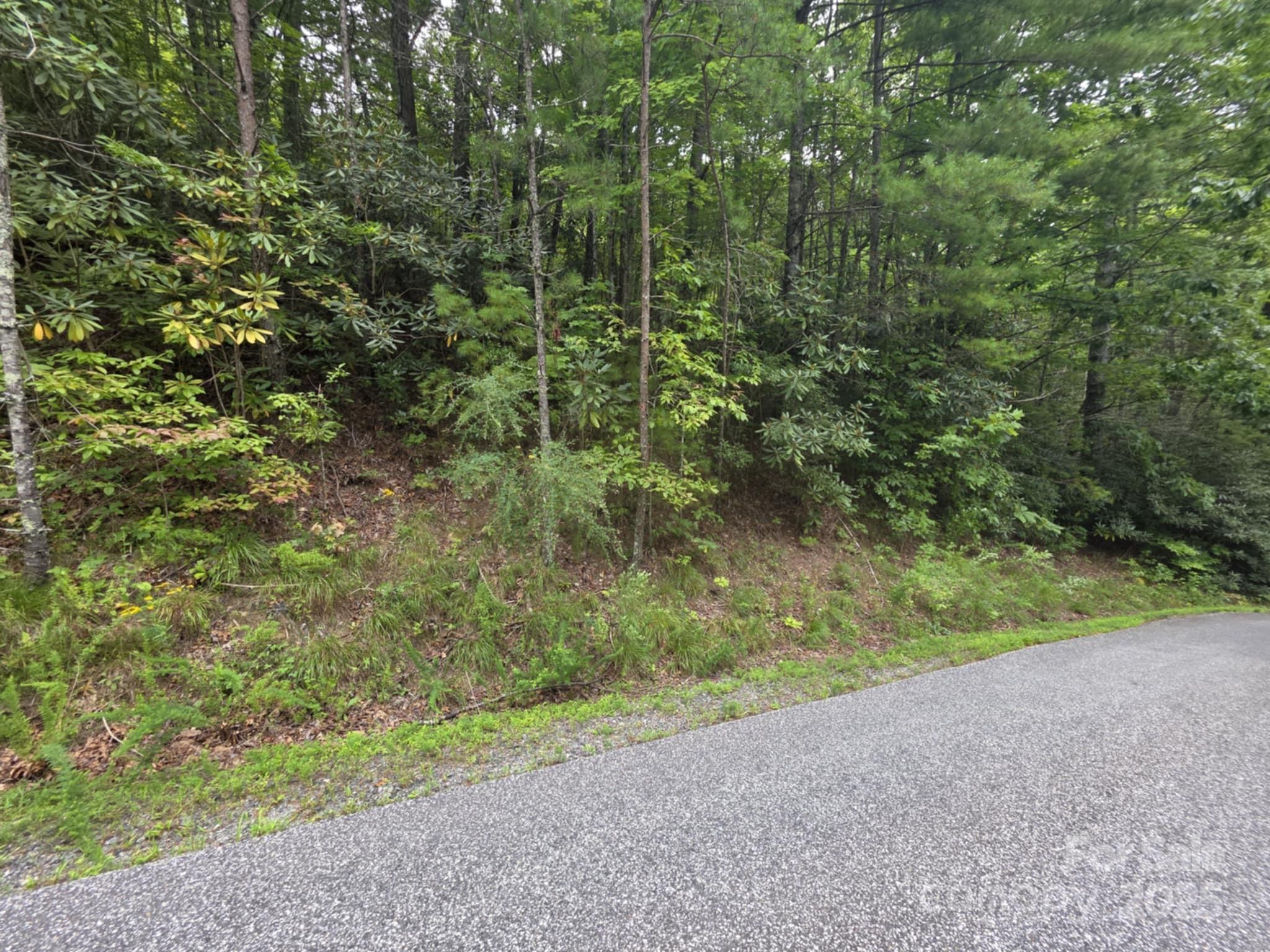 Lot 12 Deer Ridge Trail, Unit 12 Marion, NC 28752 - Photo 3 of 6 a view of a yard with a trees