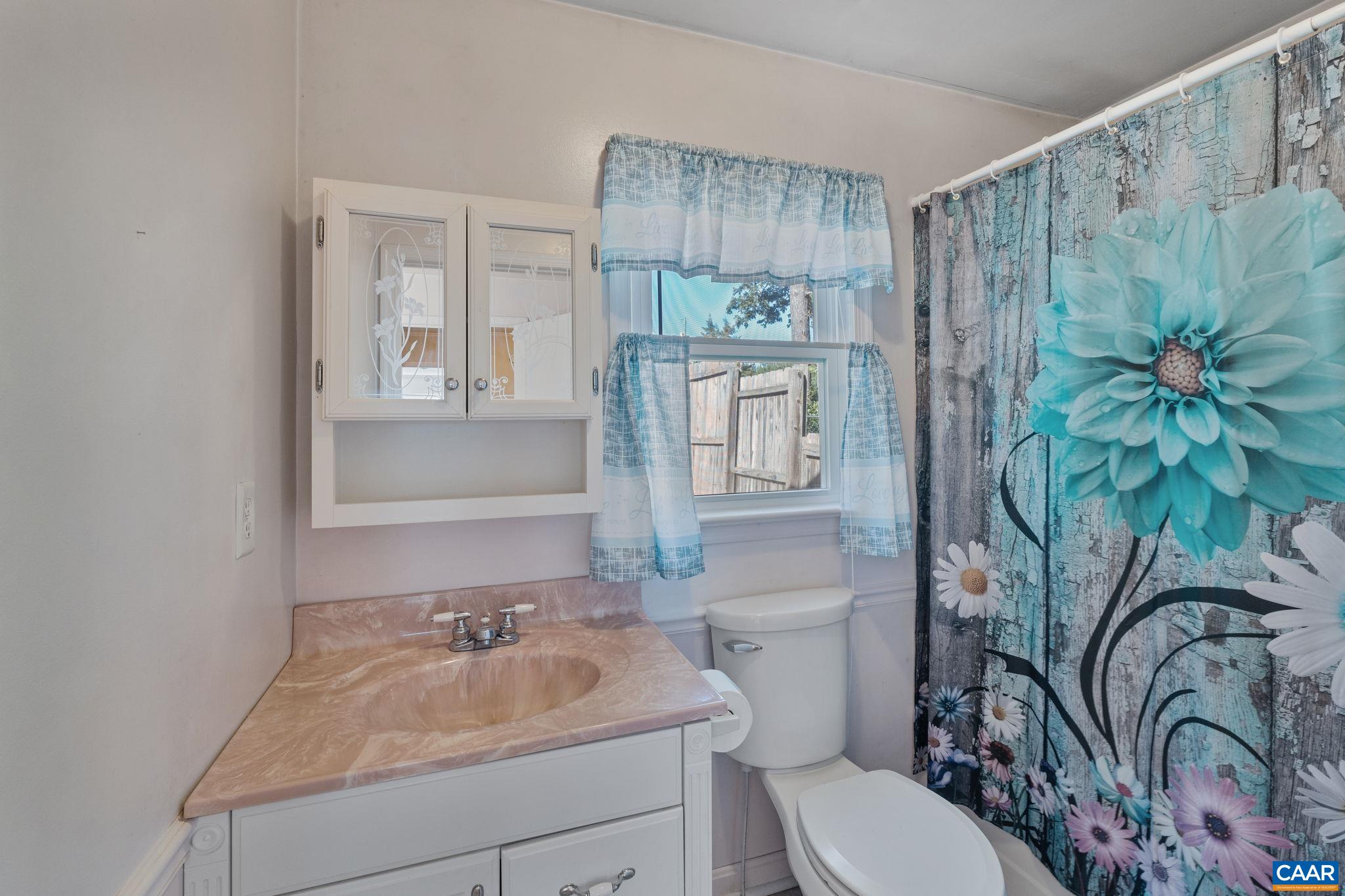 2380 South Constitution Route Dillwyn, VA 23936 - Photo 21 of 41 a bathroom with a sink a toilet and a mirror