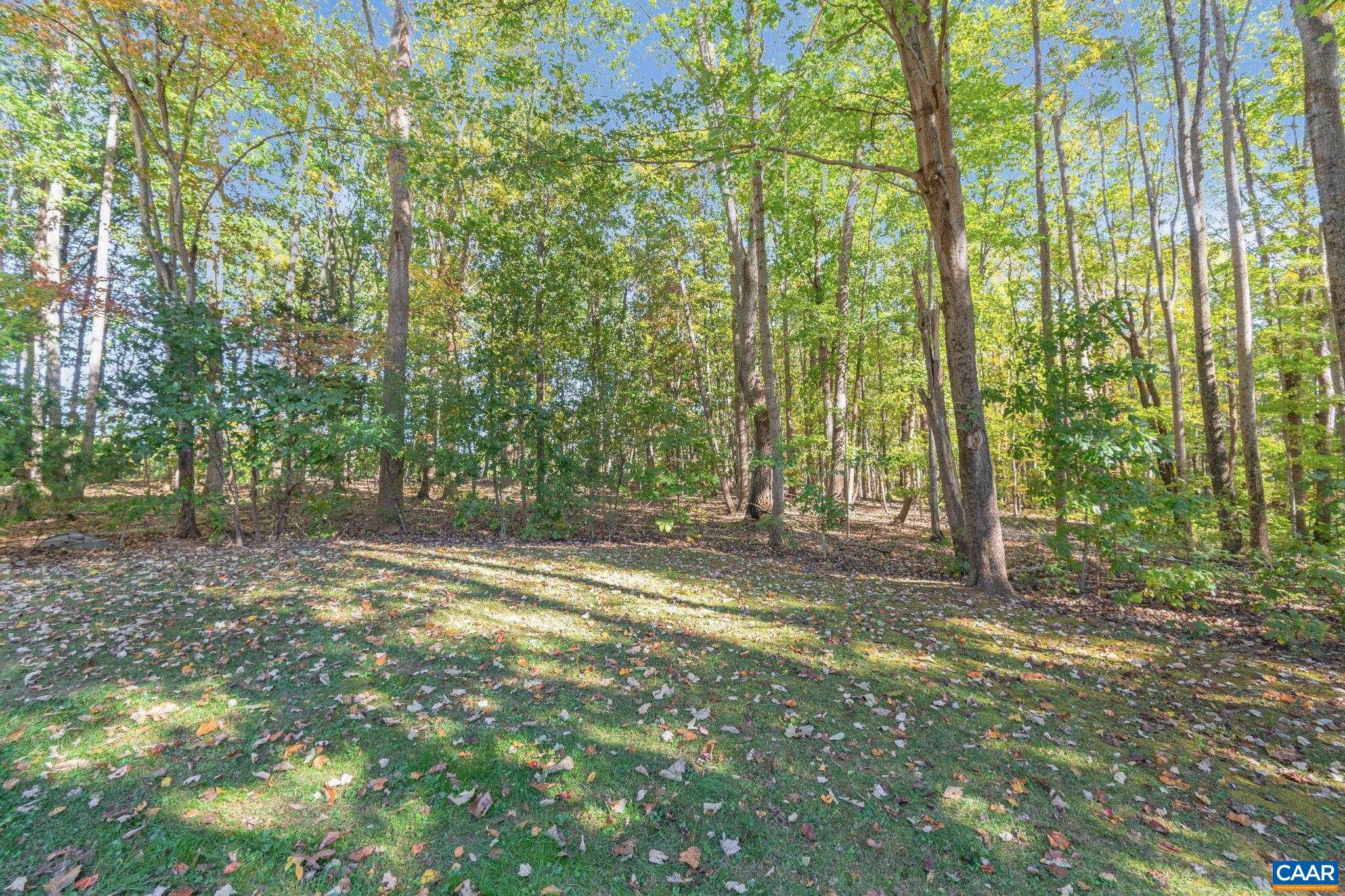 2380 South Constitution Route Dillwyn, VA 23936 - Photo 37 of 41 a view of a yard with lots of trees