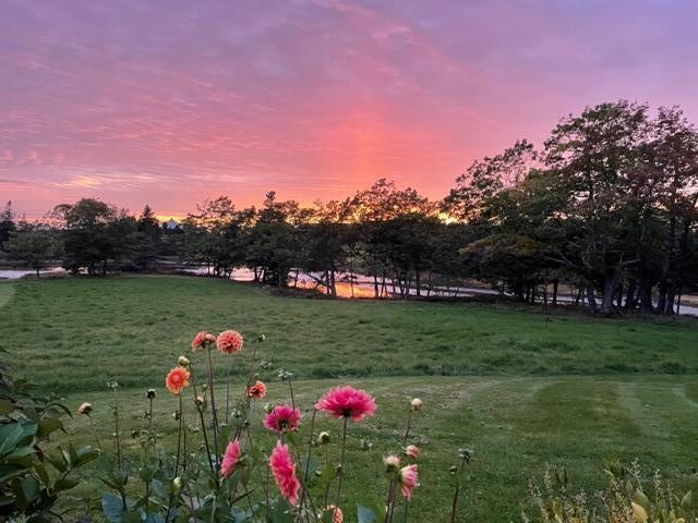 29 Mill Lane Castine, ME 04421 - Photo 5 of 66 29 Mill Lane