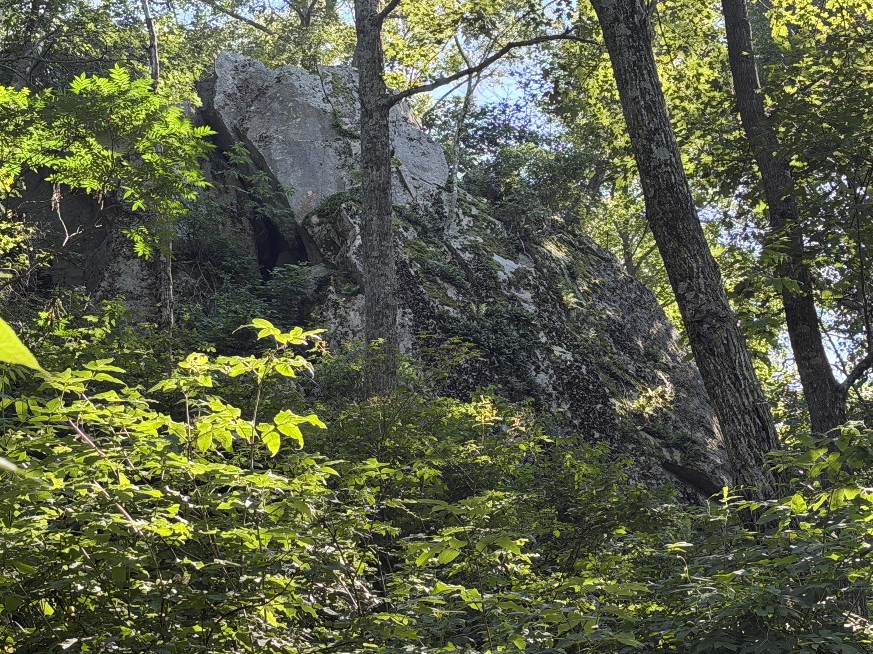 E7817 County Rd Y Viroqua, WI 54665 - Photo 32 of 48 20260713_213525967_iOS