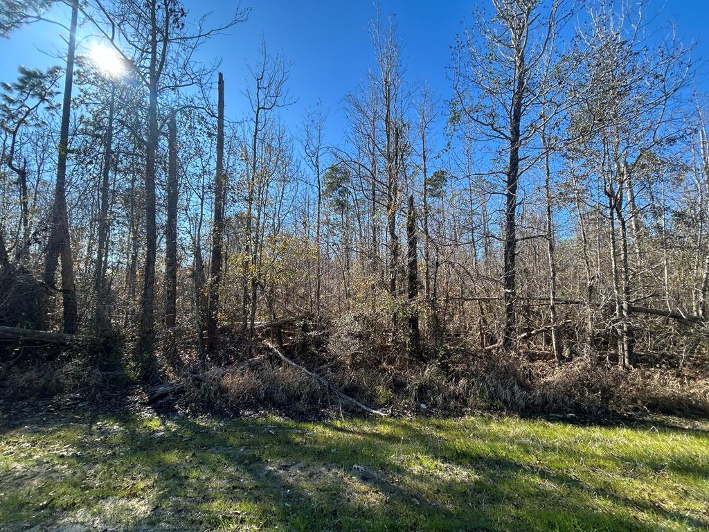 5.296-ac 5.296-ac Road Cottonwood, AL 36320 - Photo 8 of 21