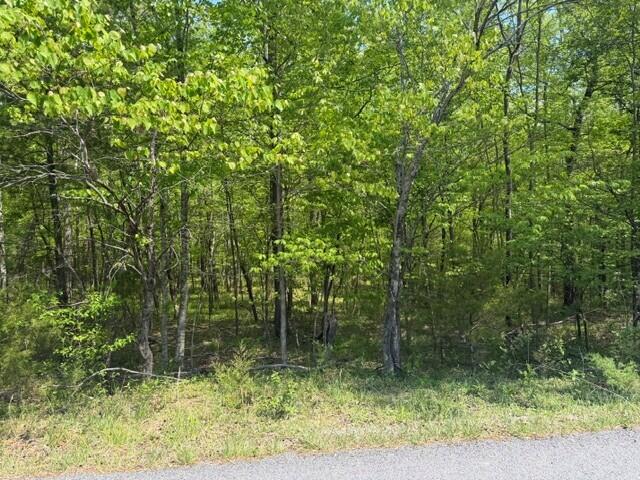 O Lees Gap Road Fincastle, VA 24090 - Photo 1 of 7 a