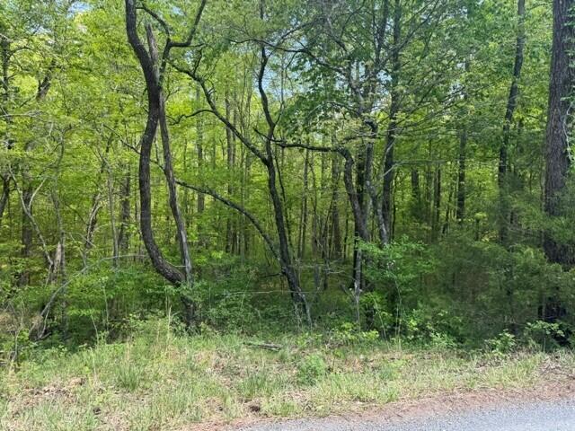O Lees Gap Road Fincastle, VA 24090 - Photo 2 of 7 b
