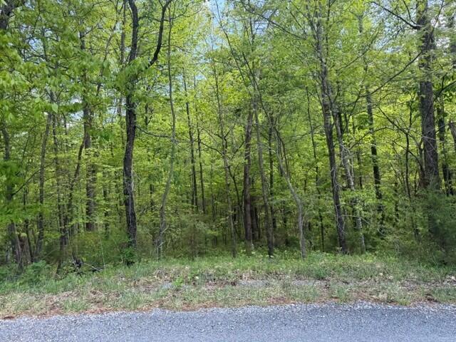 O Lees Gap Road Fincastle, VA 24090 - Photo 3 of 7 c