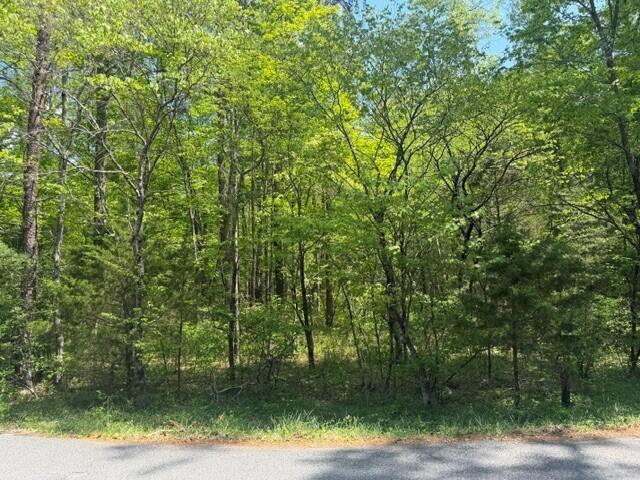 O Lees Gap Road Fincastle, VA 24090 - Photo 4 of 7 d