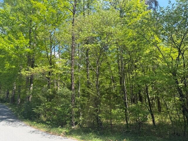 O Lees Gap Road Fincastle, VA 24090 - Photo 5 of 7 e