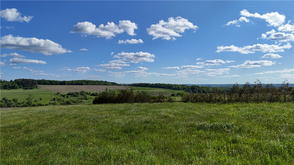 Edmunds Road Freedom, NY 14065 - Photo 5 of 15