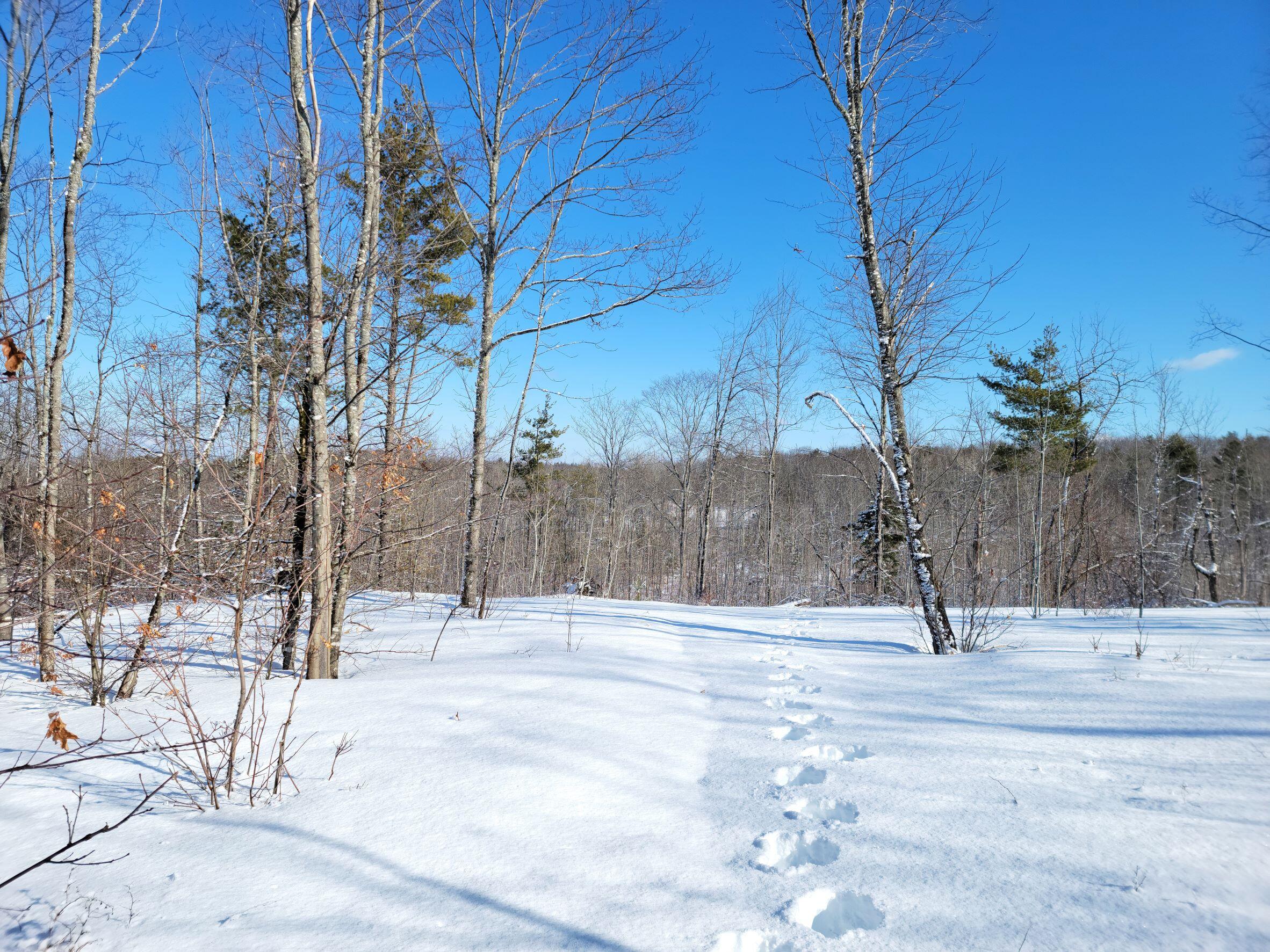 M8-l4 Ward Hill Road Troy, ME 04987 - Photo 8 of 11 Northerly View