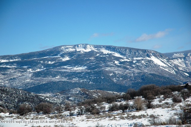 805 Sopris Mountain Ranch Road Basalt, CO 81621 - Photo 19 of 23 a view of a yard