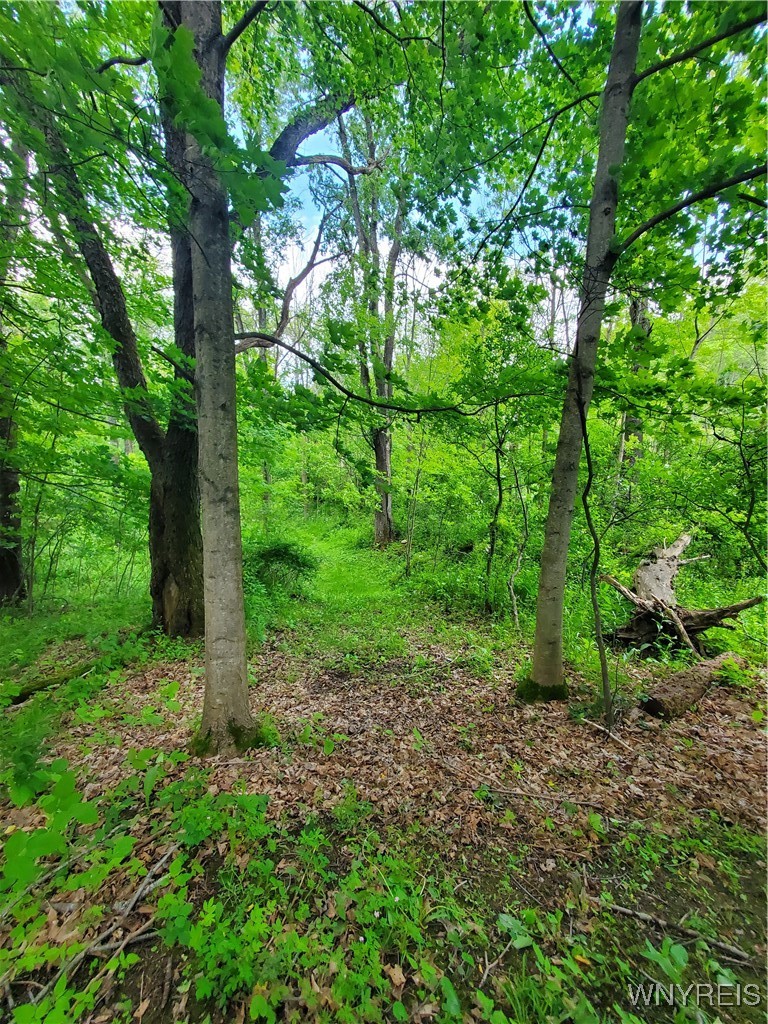 7200 Kent Road Little Valley, NY 14755 - Photo 20 of 43