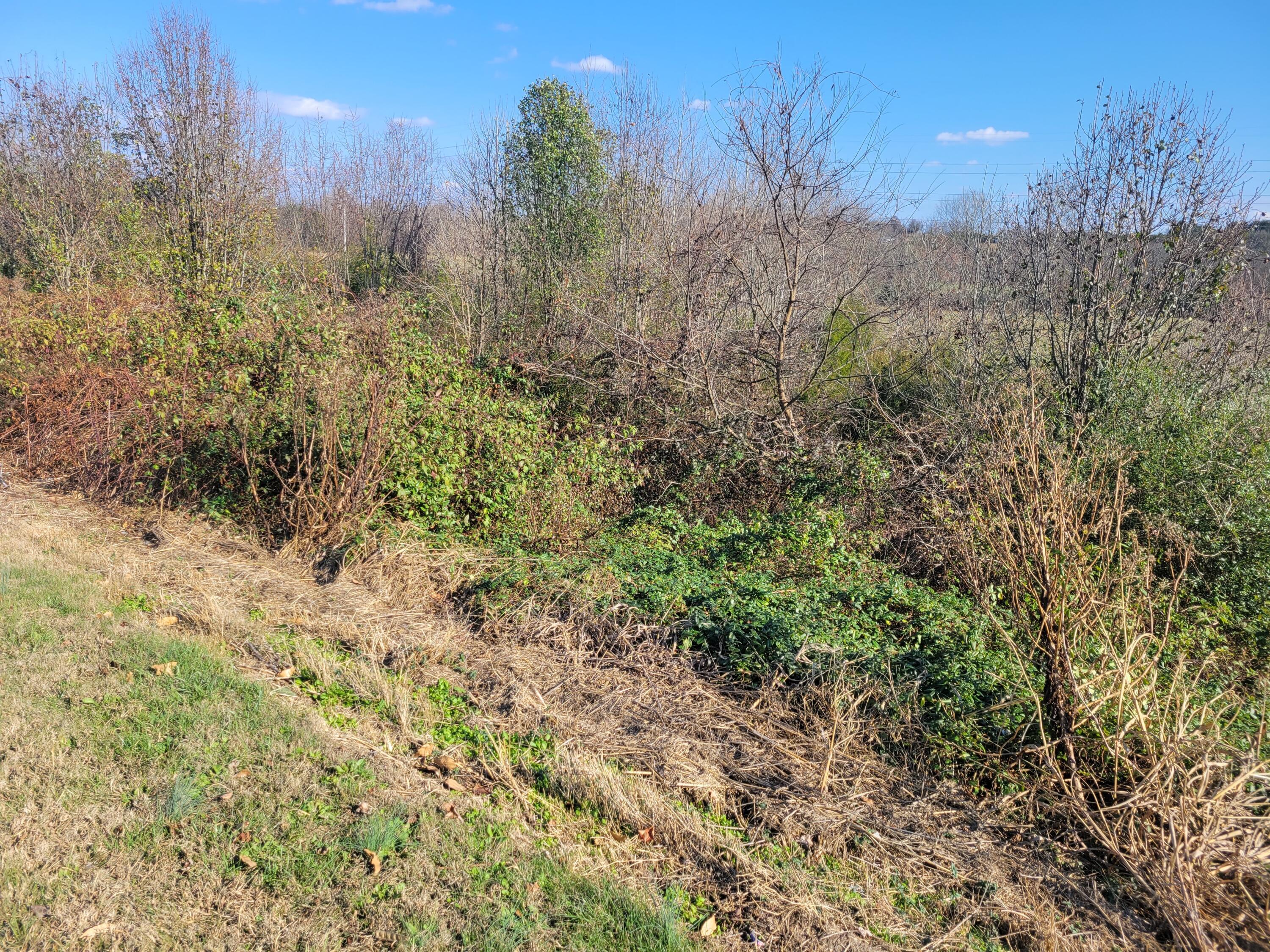Tbd Gap Creek Road, Unit 8 & 9 Bulls Gap, TN 37711 - Photo 4 of 9 85799559-3FE1-444C-BA16-494D00531413
