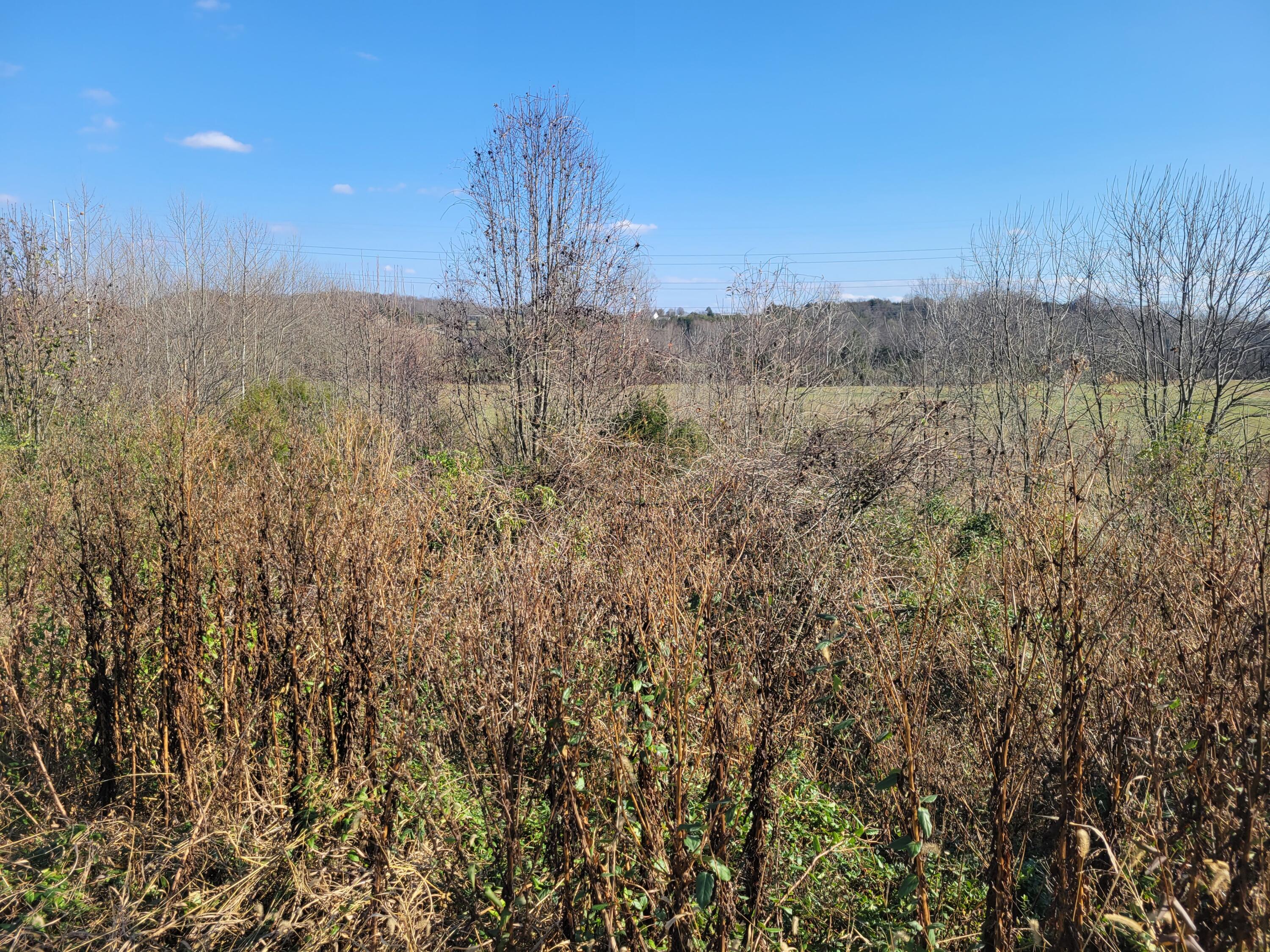 Tbd Gap Creek Road, Unit 8 & 9 Bulls Gap, TN 37711 - Photo 5 of 9 27BE47D7-86BB-4909-9B15-CCEC645AEE63