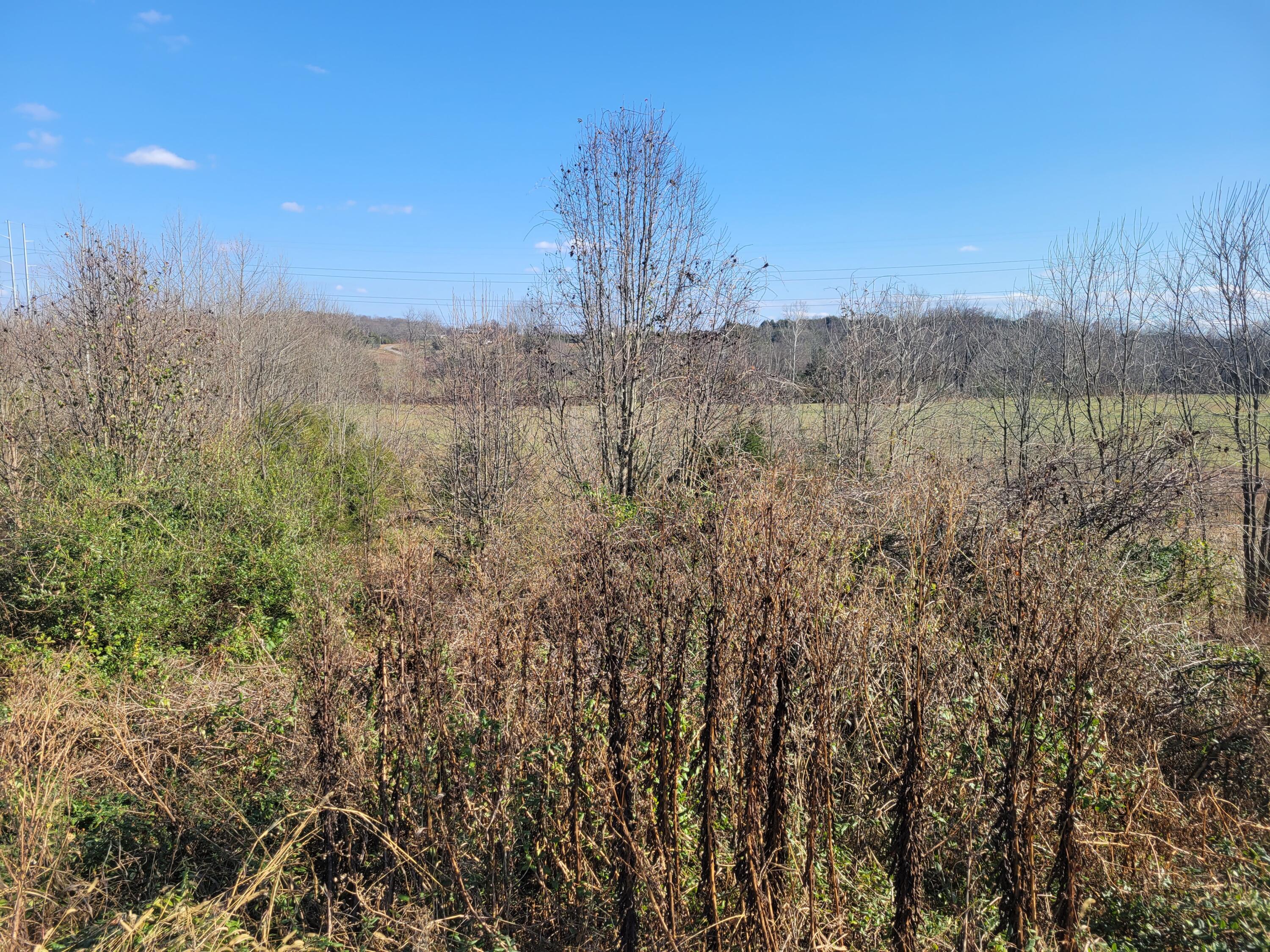 Tbd Gap Creek Road, Unit 8 & 9 Bulls Gap, TN 37711 - Photo 6 of 9 3E9E7C6D-48E3-4950-998C-2F569DCA5D3B