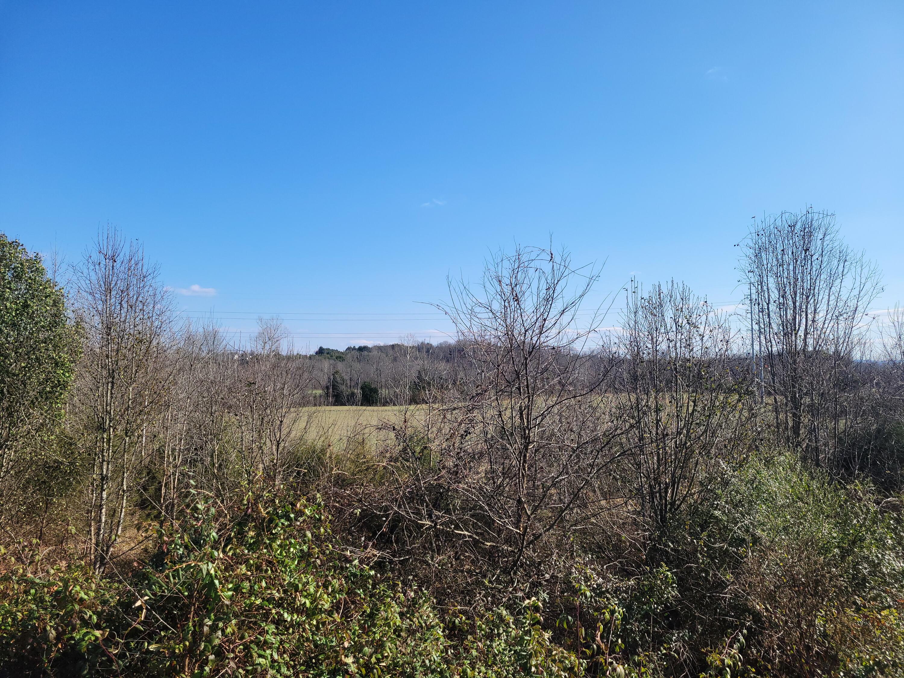 Tbd Gap Creek Road, Unit 8 & 9 Bulls Gap, TN 37711 - Photo 7 of 9 28979F41-9CB1-46FF-846A-D947B43F0B09