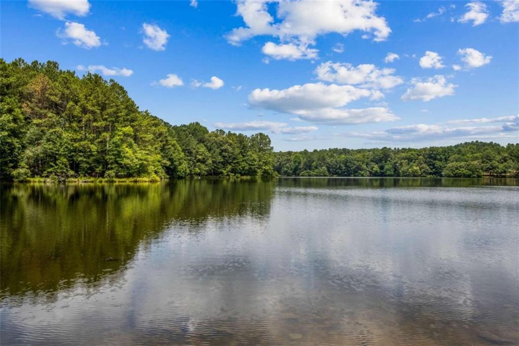 3083 Callie Still Road Lawrenceville, GA 30045 - Photo 64 of 73