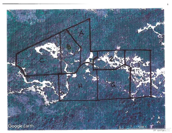 a view of a fireplace with a tree