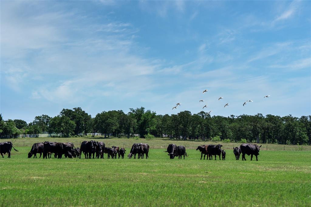 5200 Cross Timbers Road Flower Mound, TX 75028 - Photo 11 of 17 a view of a golf course with green space