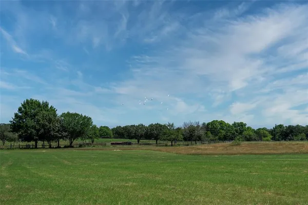 a view of a grassy field with trees