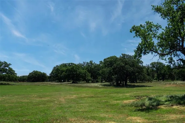a view of a garden with lawn chairs