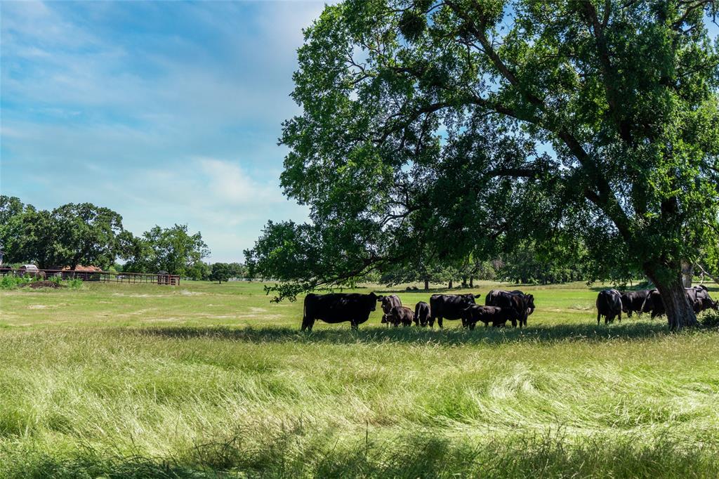 5200 Cross Timbers Road Flower Mound, TX 75028 - Photo 15 of 17 a view of a garden with lawn chairs