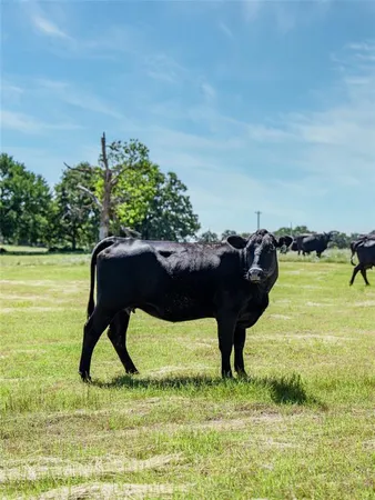 $11,995,000 | 5200 Cross Timbers Road, Flower Mound, TX 75028