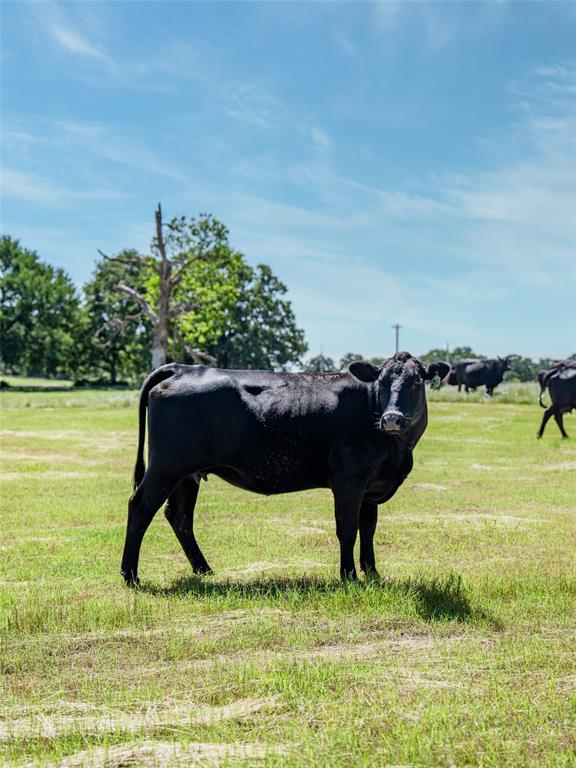 5200 Cross Timbers Road Flower Mound, TX 75028 - Photo 17 of 17 a view of swimming pool from a yard