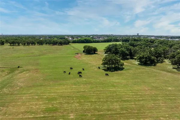 a view of yard with green space